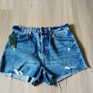 Wild Fable highest rise cut off jean shorts